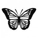 Adesivo mariposa