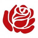 Sticker Rosa
